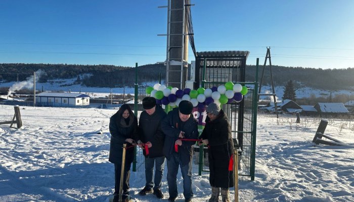 В деревне Лобагай к Новому году появилась мобильная связь