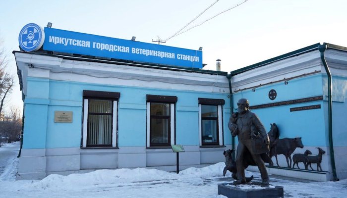 Более миллиарда рублей направят на реализацию плана развития иркутской службы ветеринарии