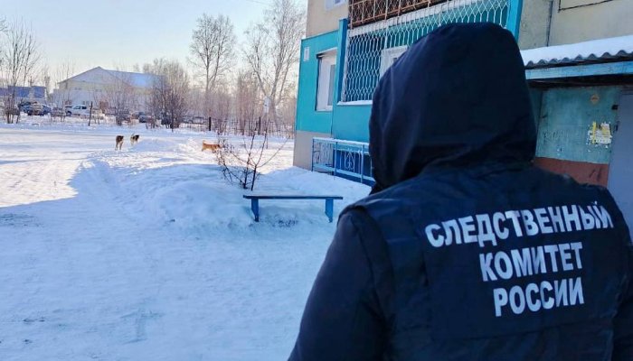 Бывшего мэра Тайшетского района будут судить за ненадлежащий отлов бездомных собак