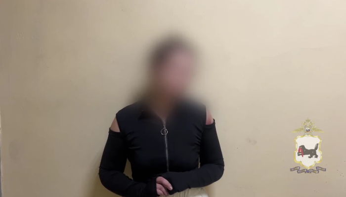 В Иркутске задержали женщину, которая устроила драку после ДТП (Видео)