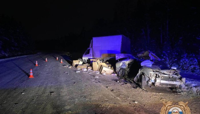 В Братском районе мужчина погиб в ДТП с грузовиком (Видео)
