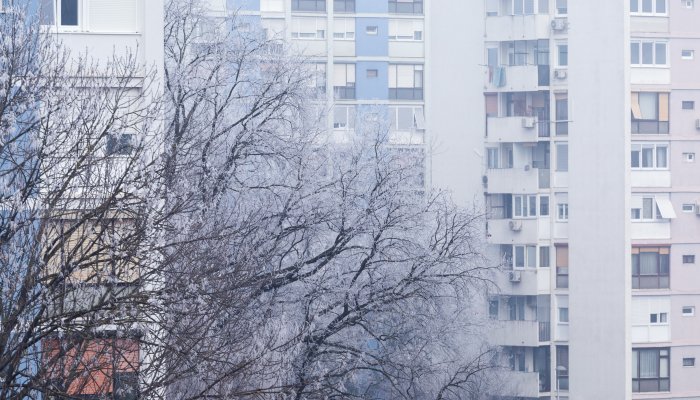 Похолодание, сильный снег и порывы ветра до 25 м/с ожидаются в Приангарье 24 января