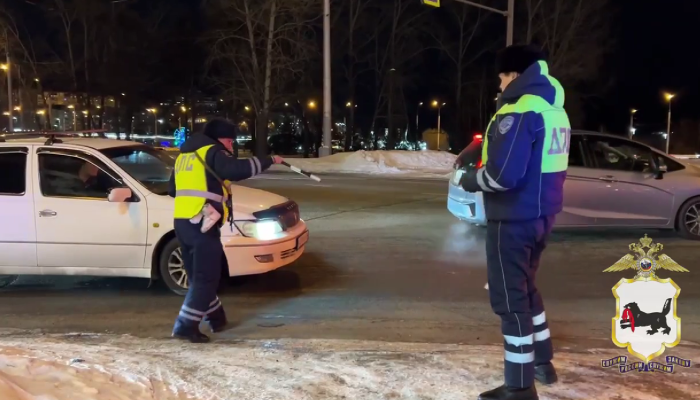 За две недели правоохранители Приангарья проверили 30 тысяч автомобилей в рамках операции «Анаконда»