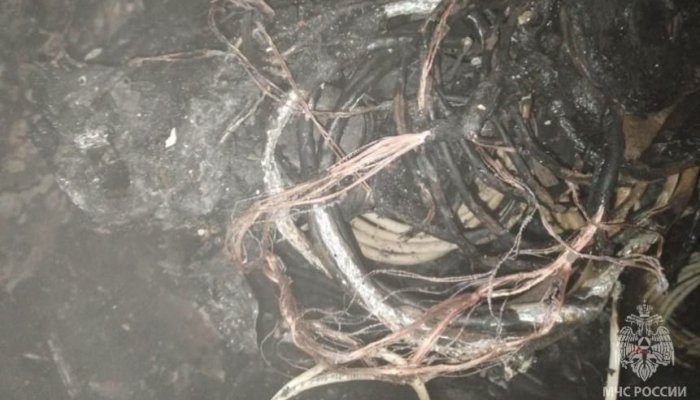 На бульваре Рябикова в Иркутске произошел пожар