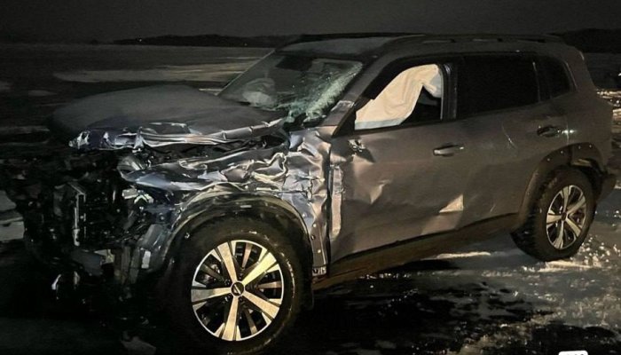 В Ольхонском районе автомобиль столкнулся с хивусом