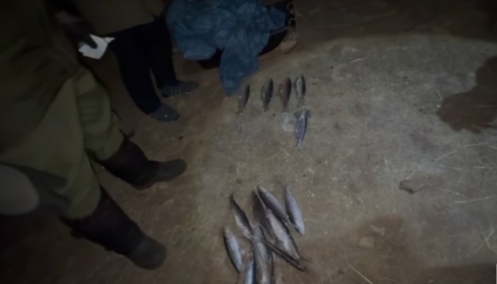 Двух браконьеров задержали в Ольхонском районе (Видео)
