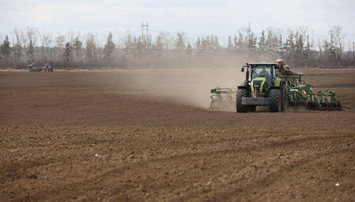 В 2025 году посевная площадь Приангарья составит 602 тысячи гектаров