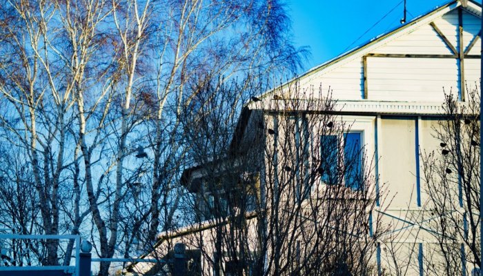 В администрации Иркутска напоминают о действии «дачной амнистии»