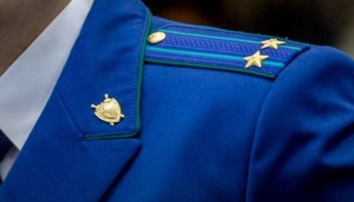 Жителя Качугского района осудили за незаконную рубку леса