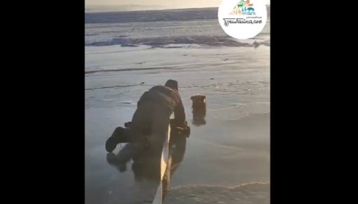 Провалившуюся под лед собаку спасли на Ольхоне (Видео)