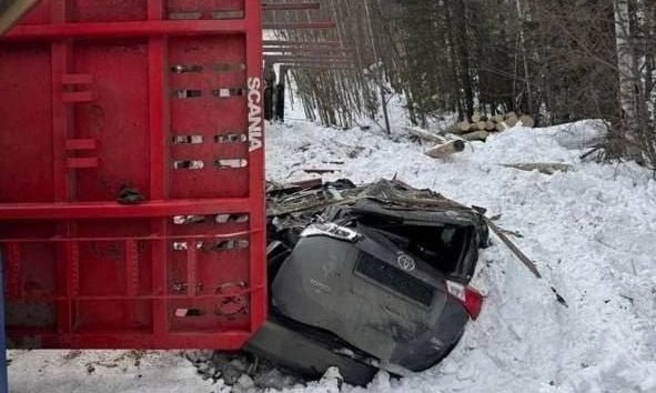 В Нижнеилимском районе лесовоз рухнул на иномарку (Видео)