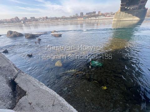 В Иркутске под Глазковским мостом нашли часть коровьей туши