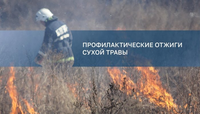 В Иркутске проводят отжиги сухой травы