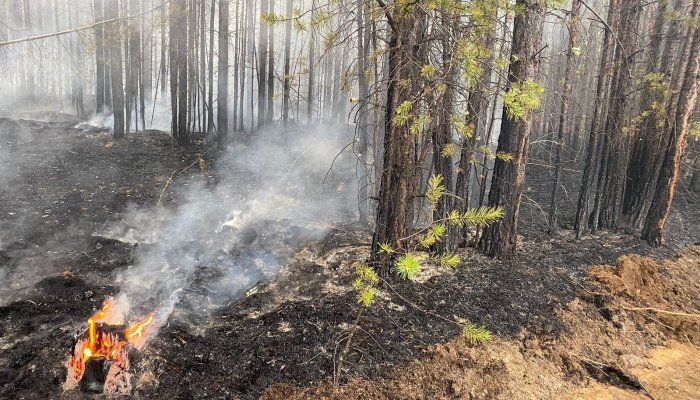 В Приангарье зарегистрированы и потушены первые лесные пожары