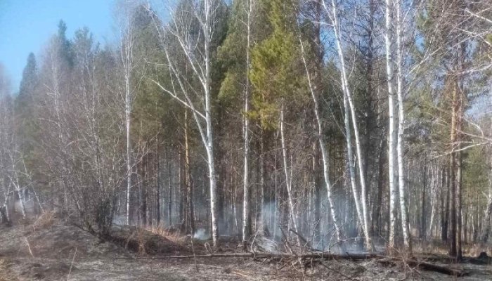 Три лесных пожара потушили в Приангарье за сутки