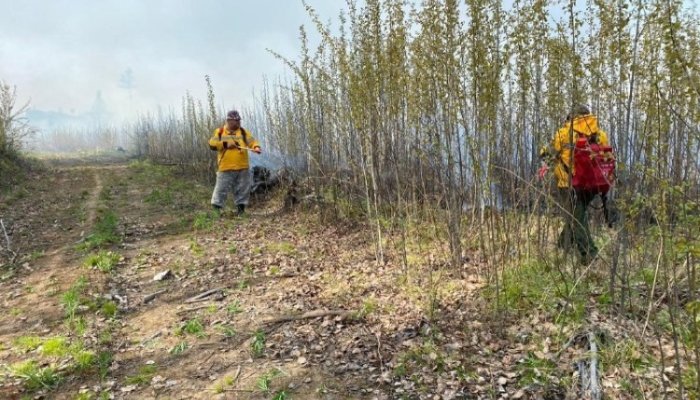 Семь лесных пожаров ликвидировали за сутки  в Иркутской области