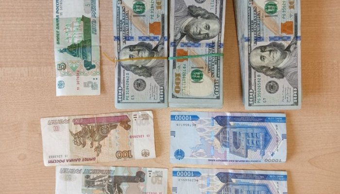 Иркутские таможенники пресекли контрабанду 30 тысяч долларов США
