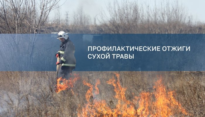 В Ленинском и Свердловском округах Иркутска пройдут отжиги сухой травы