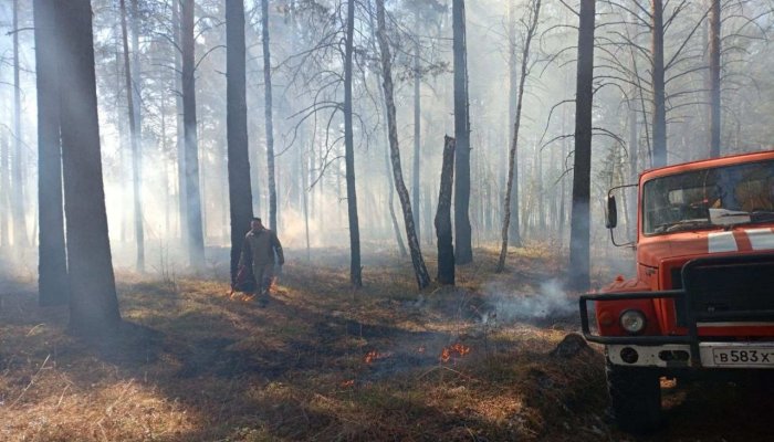 В Приангарье за сутки потушено девять лесных пожаров