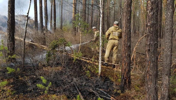 В Иркутской области ликвидировали девять лесных пожаров