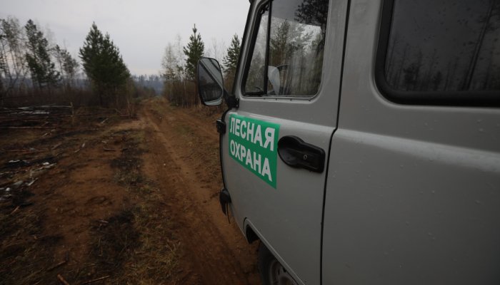 Два лесных пожара потушено за сутки в Приангарье