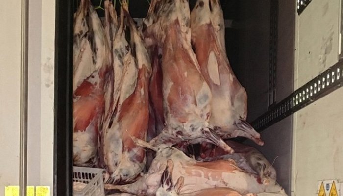 В Слюдянке задержали мужчину, перевозившего мясо без документов из Иркутска во Владивосток