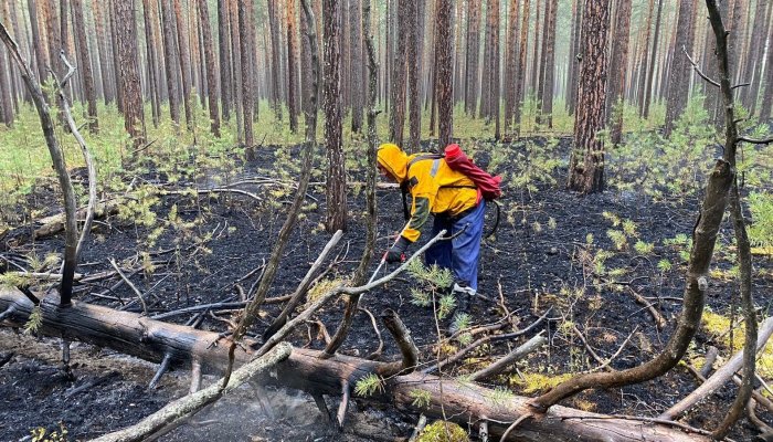 За минувшие сутки в Приангарье потушено семь лесных пожаров