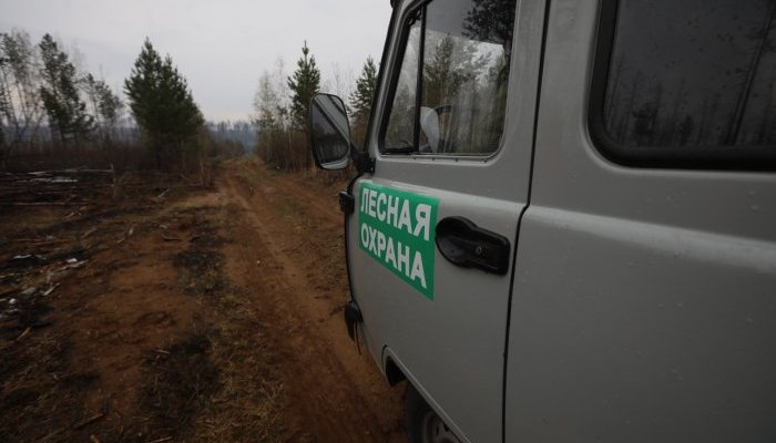 15 возгораний потушили за сутки в лесах Приангарья