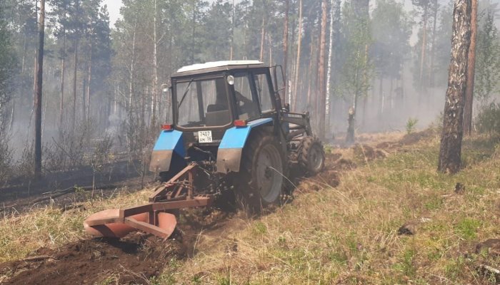 11 лесных пожаров потушили в Приангарье за сутки