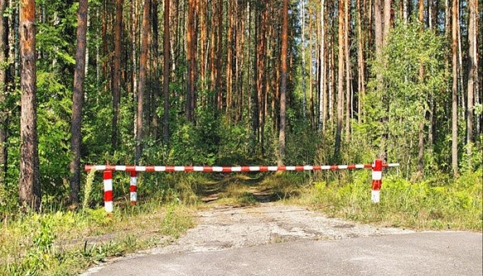 Особый противопожарный режим введут на севере Приангарья