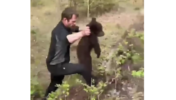 В Нижнеилимском районе неизвестные сбросили медвежонка с дерева (Видео)