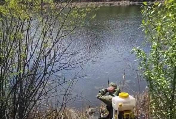 Водоемы Иркутска обработали от малярийных комаров