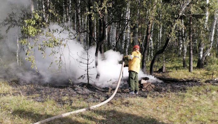 Четыре лесных пожара потушено за сутки в Приангарье