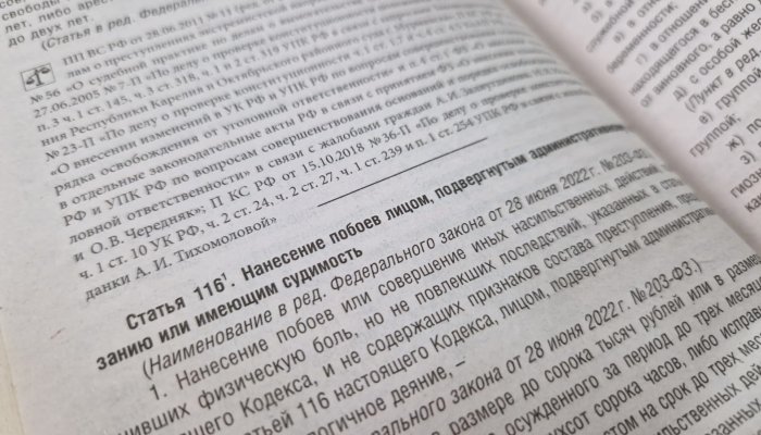 В Эхирит-Булагатском районе молодого человека осудили за избиение сожительницы