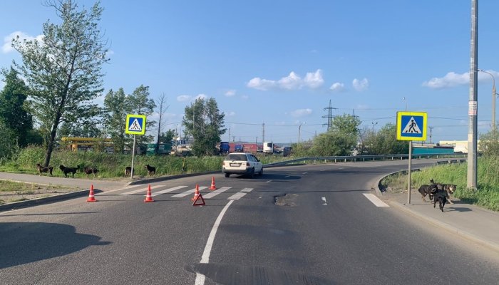 В Ленинском районе подросток на самокате попал под колеса автомобиля