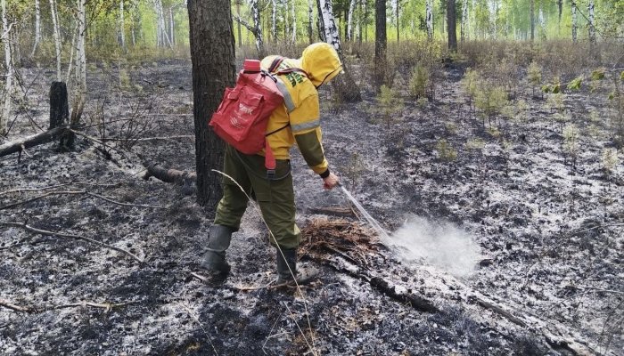 Один лесной пожар потушен в Приангарье за сутки