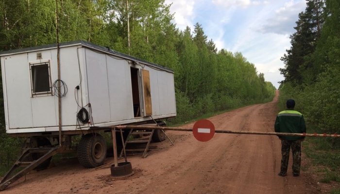 В Приангарье снова ввели ограничение на посещение лесов