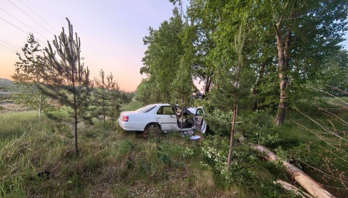 В Иркутске и Иркутском районе за неделю произошло 22 аварии