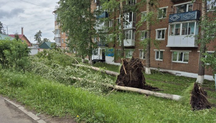 В Тулуне сильный ветер сорвал кровлю домов и повалил деревья (Видео)