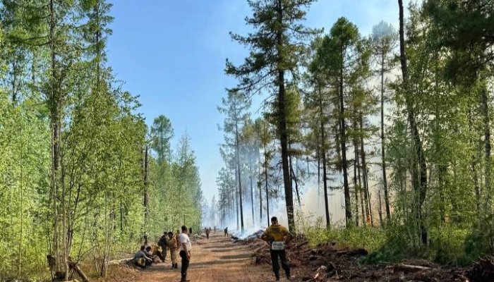 В лесах Иркутской области за сутки ликвидировано 14 пожаров