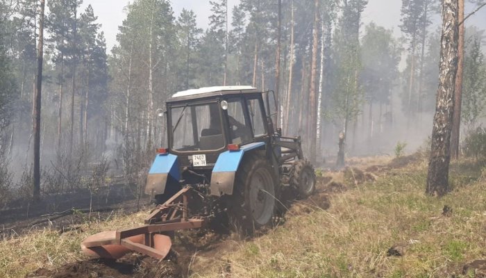В Иркутской области за сутки ликвидировали семь лесных пожаров