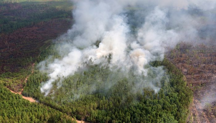 С 27 по 29 июня в лесах Иркутской области ликвидировано 12 возгораний