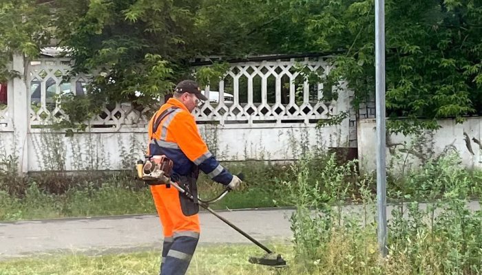 Покос травы продолжается во всех районах Иркутска