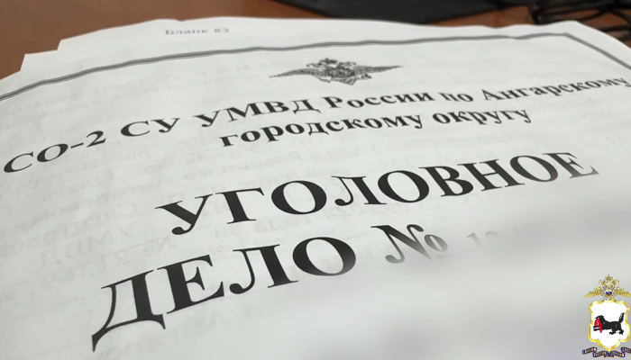 Иркутянке дали условный срок за кражу телефона