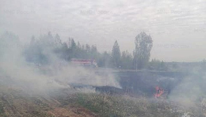 В Приангарье уменьшилось количество ландшафтных пожаров
