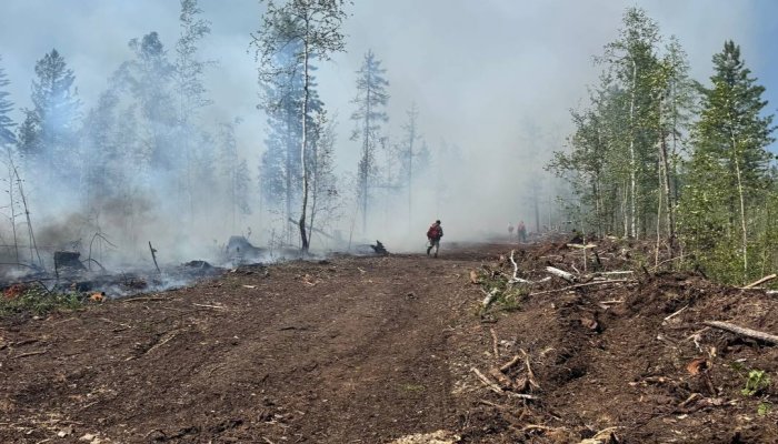 Семь лесных пожаров потушено за сутки в Приангарье