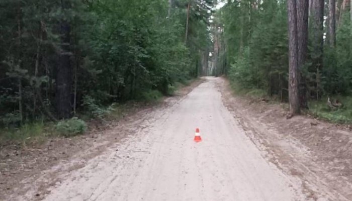 В Нижнеилимском районе 15-летняя школьница на мопеде пострадала в ДТП (Видео)