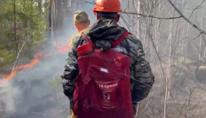 В Иркутской области за сутки ликвидирован один лесной пожар