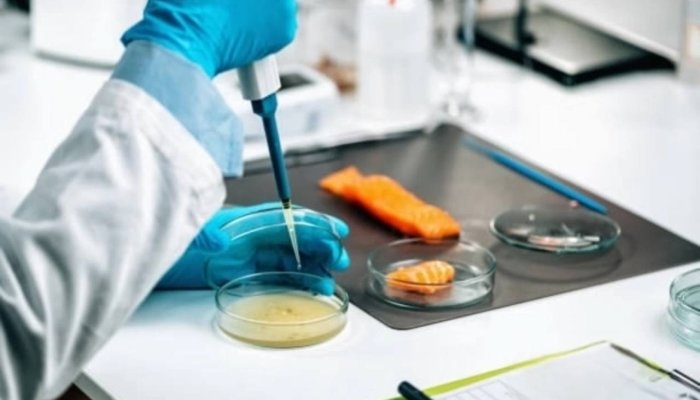 В Приангарье почти 400 кг рыбы изъято из продажи