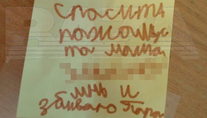 Полиция проверяет сообщение об избиении девочки в Братске